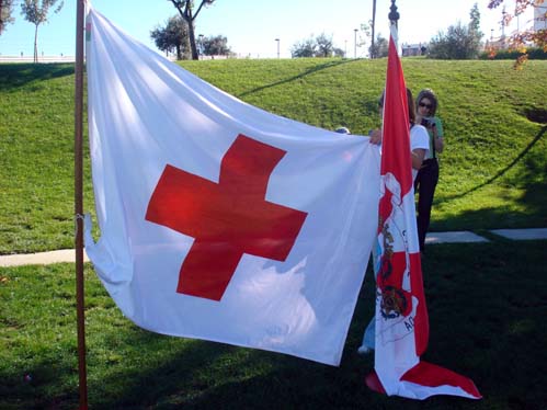 A Cruz Vermelha tem em marcha vrios projectos