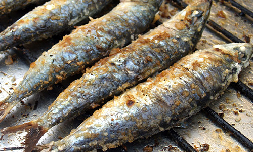 A sardinha assada é um alimento já tradicional para os portugueses em época de santos populares