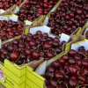 A cereja é um dos produtos de maior reconhecimento da região