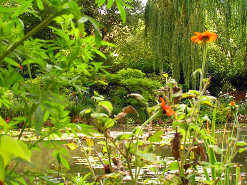 Este jardim vai nascer atravs da recuperao do parque Alexandre Aibo