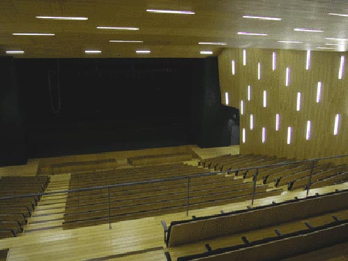 O Teatro Municipal da Guarda espera equilibrar as contas em 2007