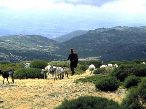 Os fundos vo ser aplicados at 2008 em projectos para a Serra da Estrela