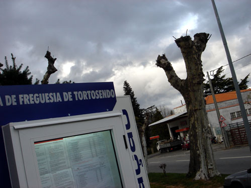 O Tortosendo comemora 80 anos de elevao a vila