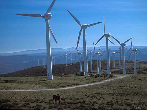 O Parque Elico do Pinhal Interior vai produzir 335 gigawatts/hora