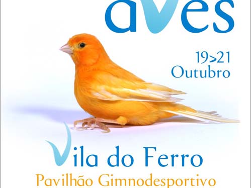 A expoiso de aves vai decorrer no Ferro