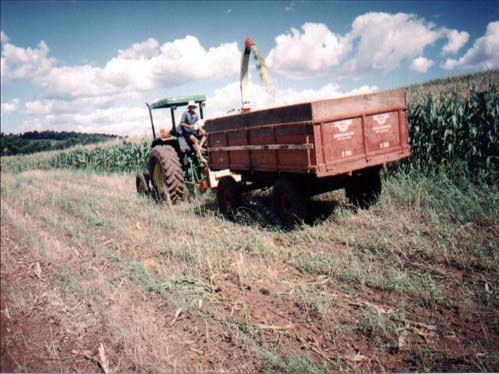 Os agricultores da regio pedem mais ajuda ao governo