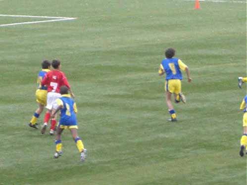 O Benfica e Castelo Branco j comeou a preparar a poca