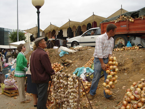 A Feira de So Miguel vai ter mais uma edio no Tortosendo