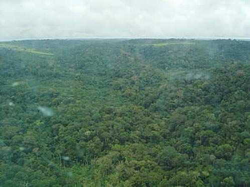 A floresta e os recursos naturais da regio vo estar em debate