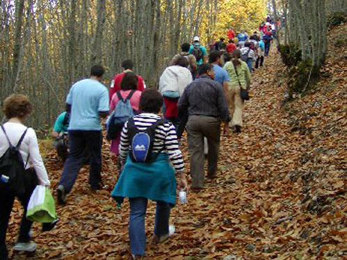 Mais de cuas centenas de pessoas percorreram os caminhos da Gardunha