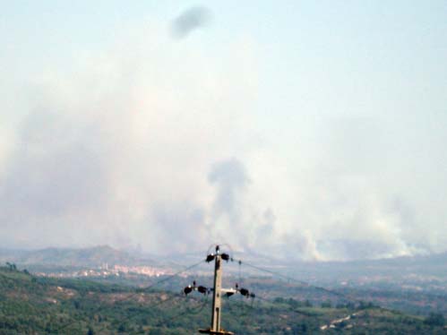 O concelho do Sabugal foi palco de vrios incndios