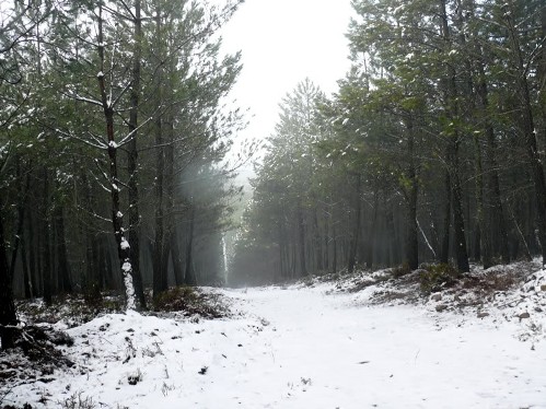 IMAGEM DA SERRA DA ESTRELA 