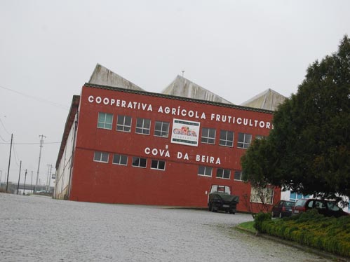 A Cooperativa de Fruticultores fica sem elementos directivos