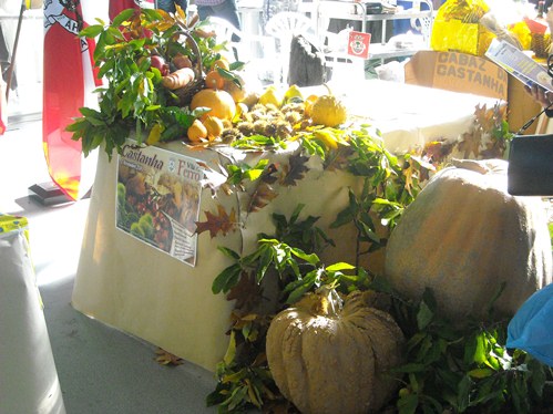 Feira da Castanha na Vila do Ferro