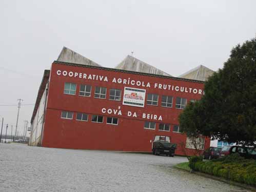 A Cooperativa de Fruticultores prepara-se para avançar com o despedimento de dez pessoas