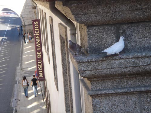 A Quarta Parede promove actividades no Museu de Lanifícios