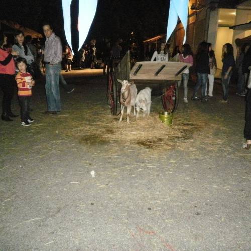 Centro da Feira Medieval promovida pela Frei Heitor Pinto