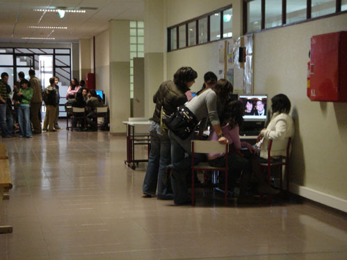 Vários alunos vão integrar actividades durante as férias