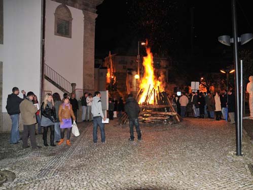 O madeiro de Natal vai ser colocado junto à igreja do Jardim Público