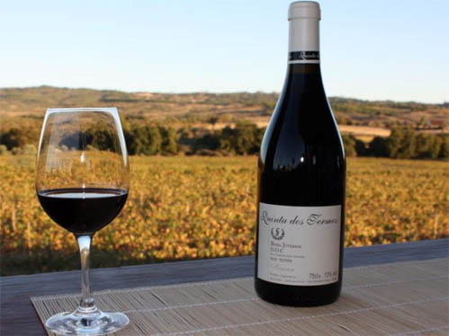 O vinho da Quinta dos Termos arrecadou o prémio de melhor produção da Beira Interior