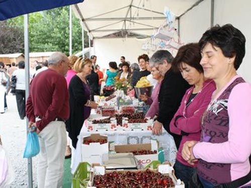 As feiras temáticas voltam a estar em destaque