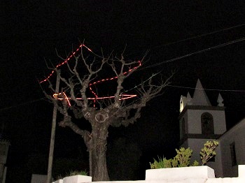 Árvore decorada junto à Igreja Matriz