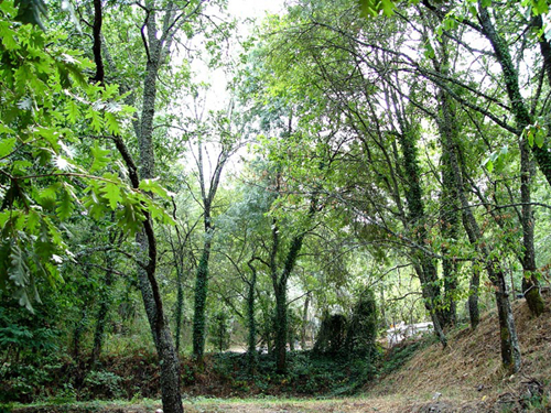 A festa de hoje decorre na Serra da Gardunha