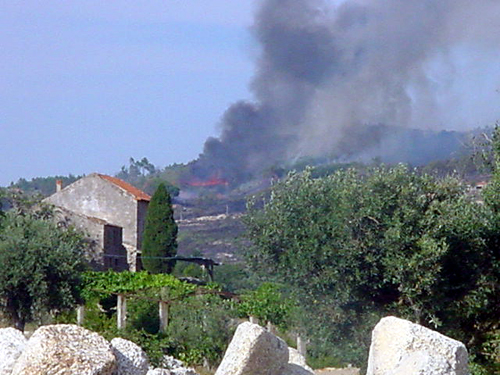 Os incêndios têm fustigado a região nos últimos anos