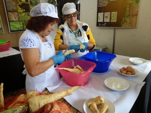 A cherovia é um dos produtos da terra mais característicos da Covilhã