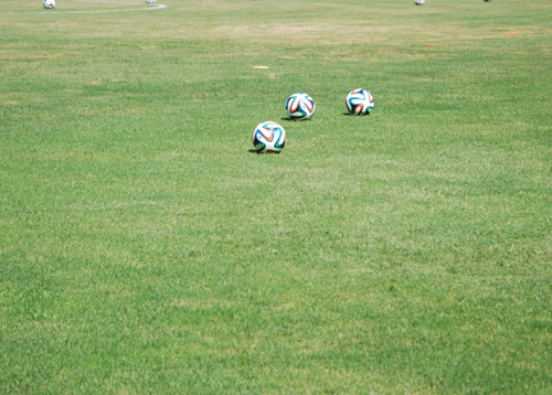 O desporto é o mote para a exposição interativa integrada nas VIII Atividades Científicas na Escola