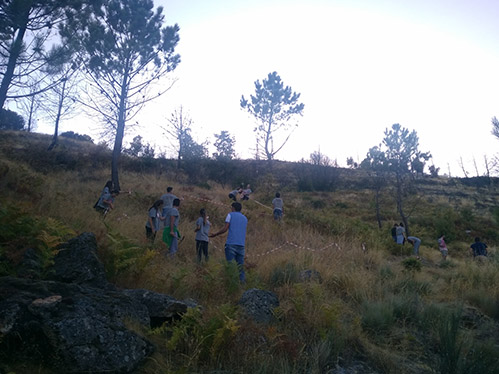 Caloiros nas áreas demarcadas para o plantio das árvores