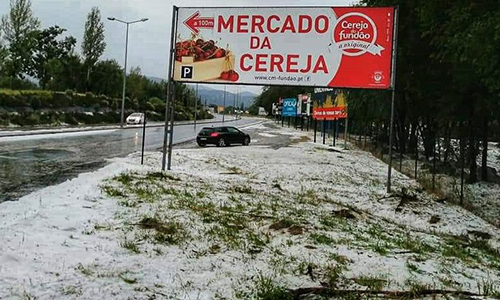 Granizo caiu com grande intensidade este domingo, 31 de maio.  D.R.