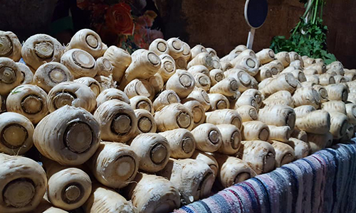 Festival vai ainda assinar um protocolo de parceria com a Confraria Gastronómica da Cherovia e Panela no Forno