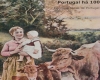 Colecão bibliográfica da revista 'Illustracão Portugueza'