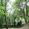 A festa de hoje decorre na Serra da Gardunha