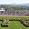 Foto: Escola Quinta das Palmeiras