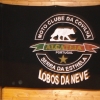 Bandeira dos Lobos da Neve